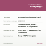 Колеус Elegya (срез/1шт) — что приедет