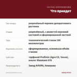 Колеус Еnchantress (0,1л) — что приедет