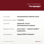 Колеус Еnchantress (срез/1шт) — что приедет