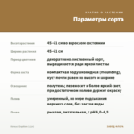 Колеус Eruption (0,1л) — параметры сорта
