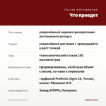 Колеус Fantastic (0,1л) — что приедет