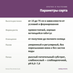 Колеус Fiery Arrow (0,1л) — параметры сорта