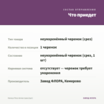 Колеус Fiery Arrow (срез/1шт) — что приедет