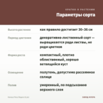 Колеус Fiery fingers (0,1л) — параметры сорта