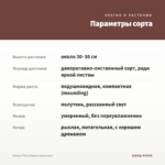 Колеус Fiery fingers (срез/1шт) — параметры сорта