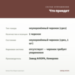 Колеус Fiery fingers (срез/1шт) — что приедет