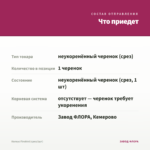 Колеус Firebird (срез/1шт) — что приедет