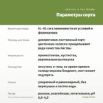 Колеус Fishnet Stockings (0,1л) — параметры сорта