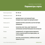 Колеус Fishnet Stockings (срез/1шт) — параметры сорта
