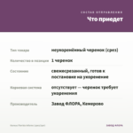 Колеус Florida Inferno (срез/1шт) — что приедет
