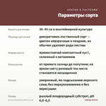 Колеус Florida Sun Rose (0,1л) — параметры сорта