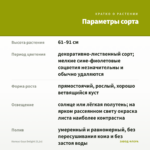 Колеус Gays Delight (0,1л) — параметры сорта