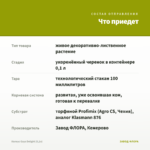 Колеус Gays Delight (0,1л) — что приедет