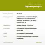 Колеус Gays Delight (0,1л) — параметры сорта