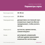 Колеус Globetrotters Gaga (0,1л) — параметры сорта
