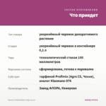 Колеус Globetrotters Gaga (0,1л) — что приедет