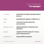 Колеус Globetrotters Gaga (0,1л) — что приедет