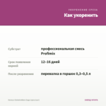 Колеус Globetrotters Gaga (срез/1шт) — как укоренить черенок