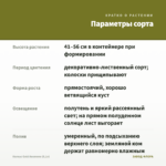 Колеус Gold Anemone (0,1л) — параметры сорта