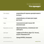 Колеус Gold Anemone (0,1л) — что приедет
