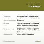 Колеус Gold Anemone (срез/1шт) — что приедет
