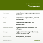 Колеус Gold Twist (0,1л) — что приедет