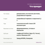 Колеус Grand Granat (0,1л) — что приедет