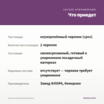 Колеус Grand Granat (срез/1шт) — что приедет