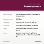 Колеус Harpy (0,1л) — параметры сорта