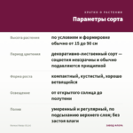 Колеус Harpy (0,1л) — параметры сорта