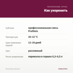 Колеус Harpy (срез/1шт) — как укоренить черенок