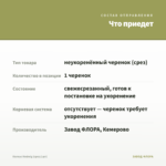 Колеус Hedwig (срез/1шт) — что приедет