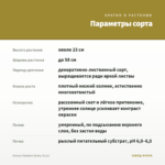 Колеус Hipsters Zooey (0,1л) — параметры сорта