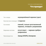 Колеус Hipsters Zooey (срез/1шт) — что приедет