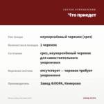 Колеус Honey Pie (срез/1шт) — что приедет