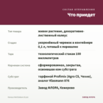 Колеус Hot Embers (0,1л) — что приедет