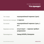 Колеус Hot Embers (срез/1шт) — что приедет
