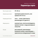 Колеус Hot Embers (срез/1шт) — параметры сорта