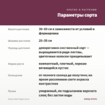Колеус Inky Fingers (0,1л) — параметры сорта
