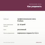 Колеус Inky Fingers (срез/1шт) — как укоренить черенок