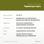 Колеус Извержение Вулкана (срез/1шт) — параметры сорта
