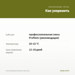 Колеус Извержение Вулкана (срез/1шт) — как укоренить черенок