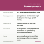 Колеус Japanese Giant (0,1л) — параметры сорта