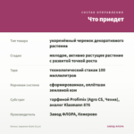 Колеус Japanese Giant (0,1л) — что приедет
