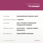 Колеус Japanese Giant (срез/1шт) — что приедет