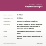 Колеус Japanese Giant (срез/1шт) — параметры сорта