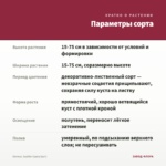 Колеус Jupiter (срез/1шт) — параметры сорта