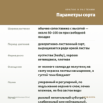 Колеус Kaleidoscope (0,1л) — параметры сорта