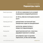 Колеус Kaleidoscope (срез/1шт) — параметры сорта