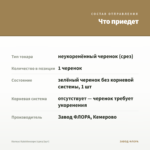 Колеус Kaleidoscope (срез/1шт) — что приедет